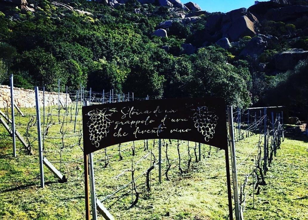Tenuta Petra Manna Palau Zewnętrze zdjęcie